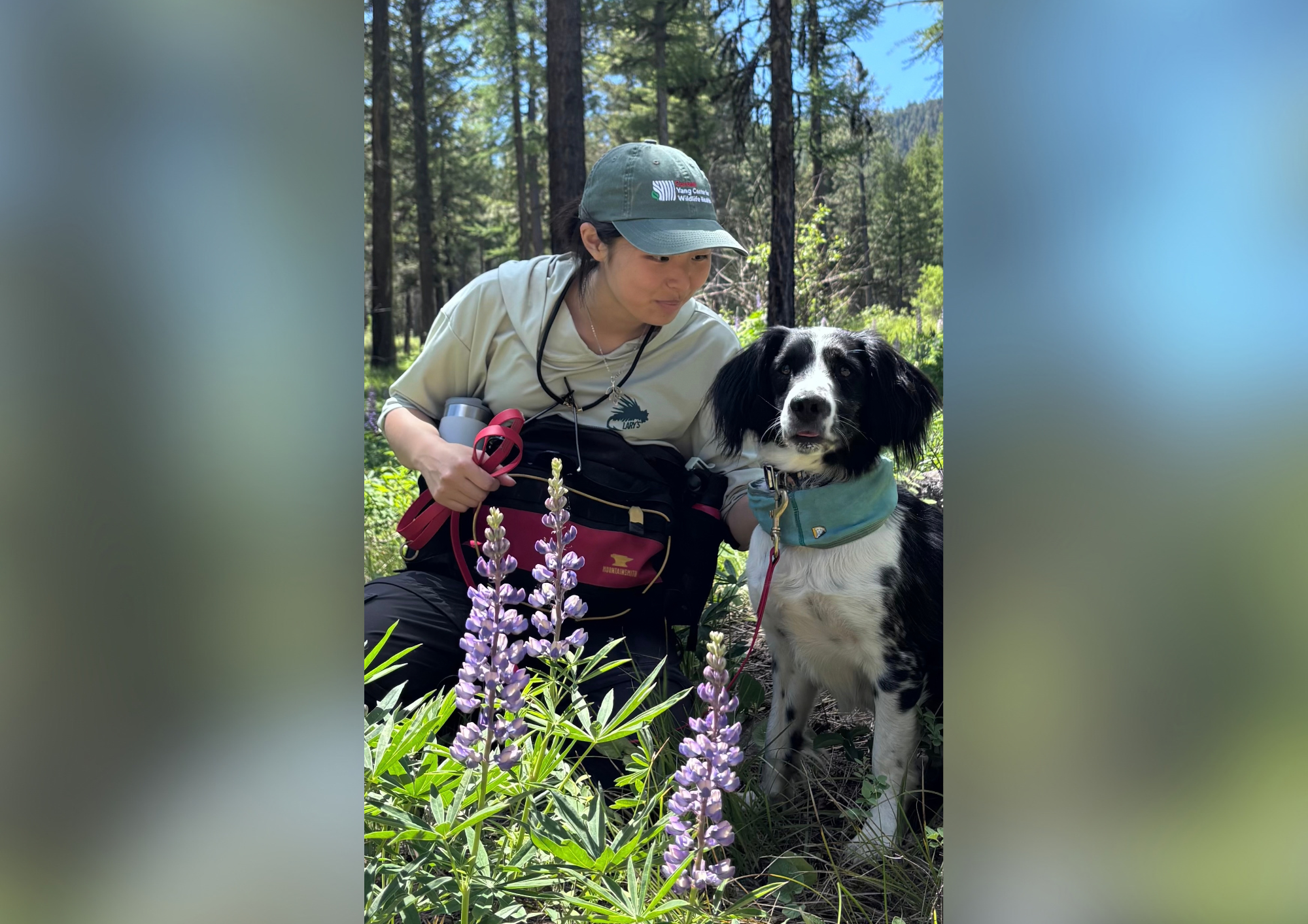 Student in the field with conservation dog