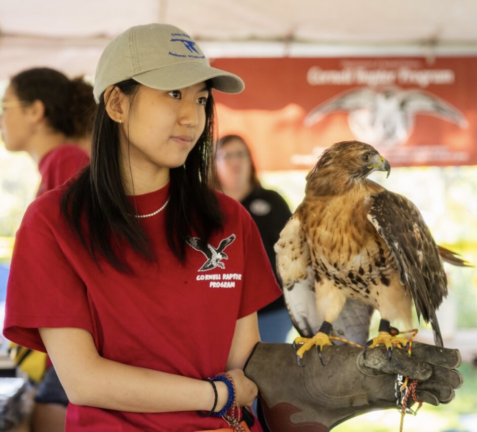 Allison holding a raptor while wearing protective gloves.