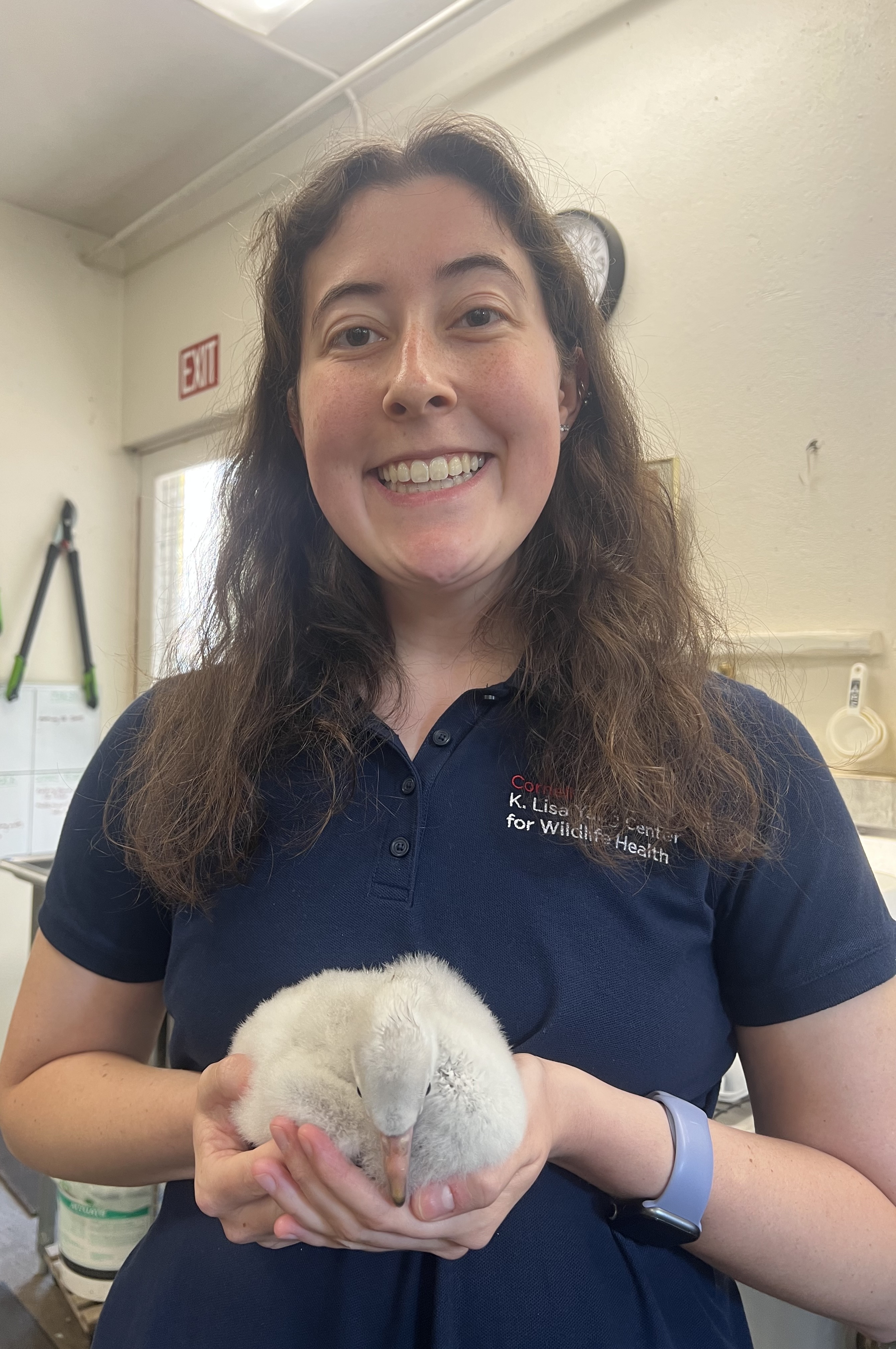 Sarah holds a flamingo chick
