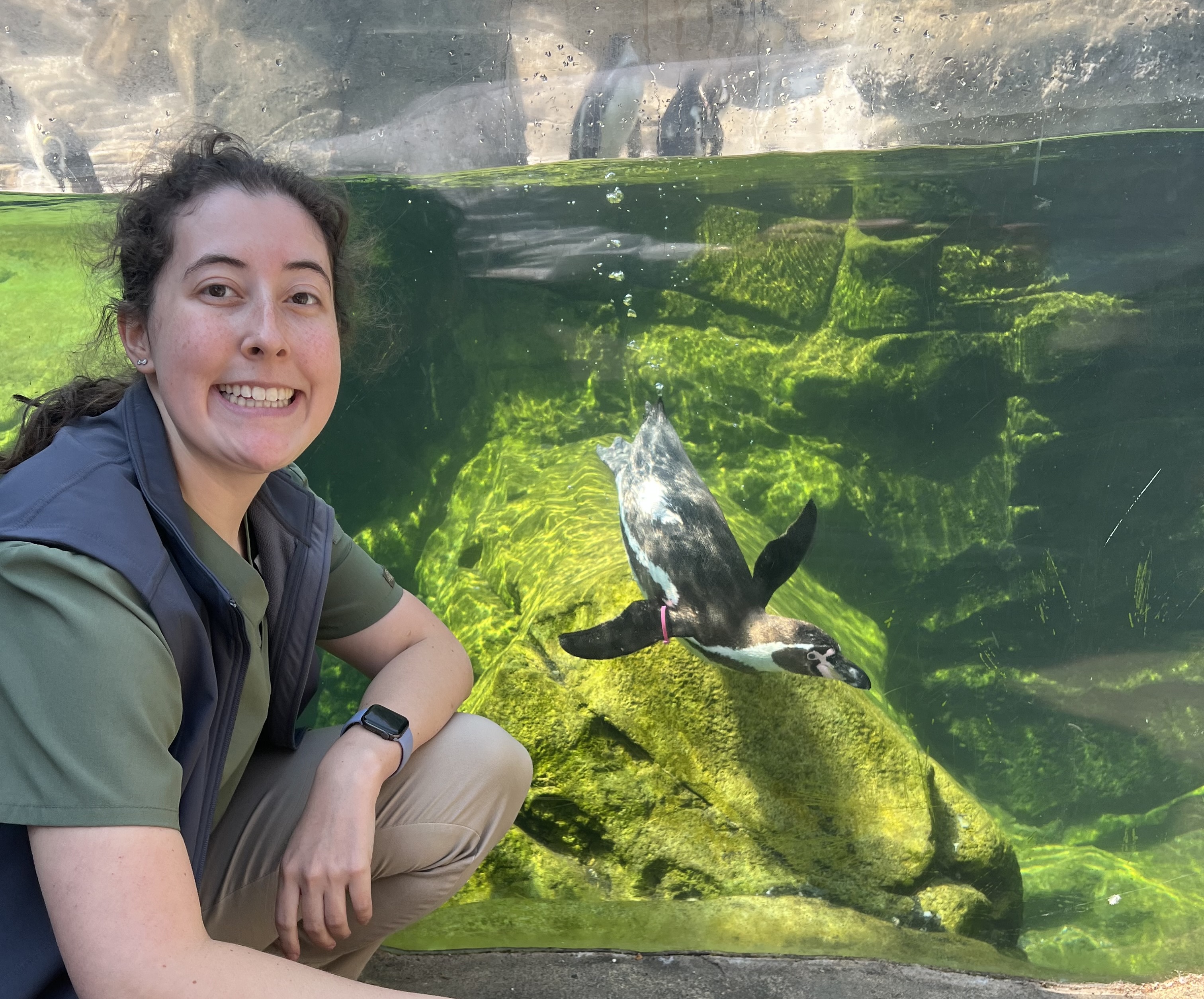 Sarah in front of the penguin exhibit