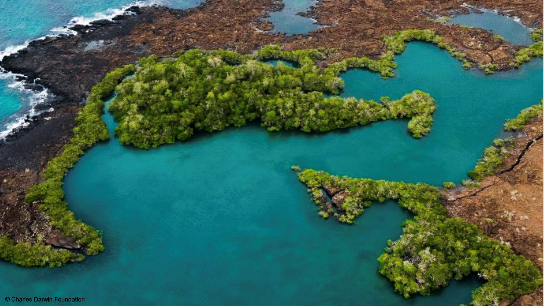 Bright blue waters with green mangrove forests at the shores