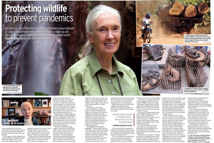 Pandemic Conference Feature poster that includes a portrait of Jane Goodall