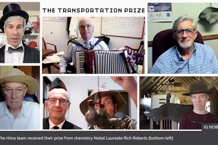 Ig Nobel prize for rhino tranportation video screenshot