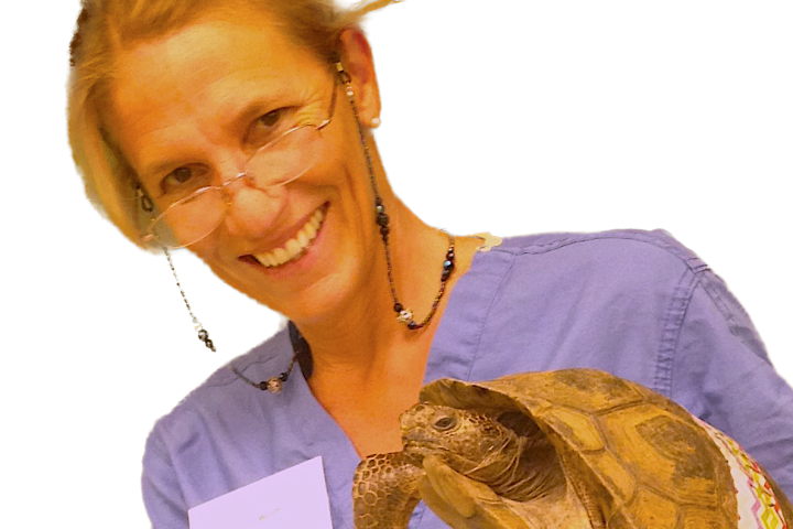 Peregrine “Peri” Wolff, D.V.M. ‘84 shown holding a turtle.