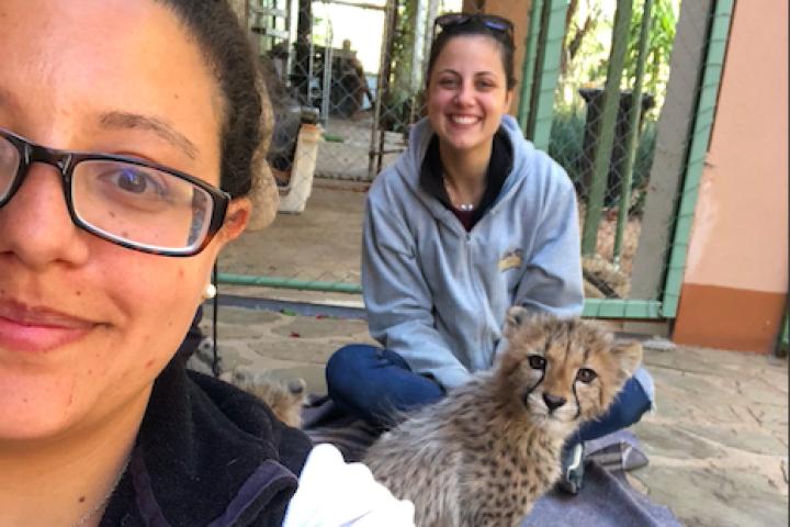 Head veterinarian, Dr. Ana Bastos, and veterinary intern, Sarah Abdelmessih with the cheetah cubs after their vaccinations.