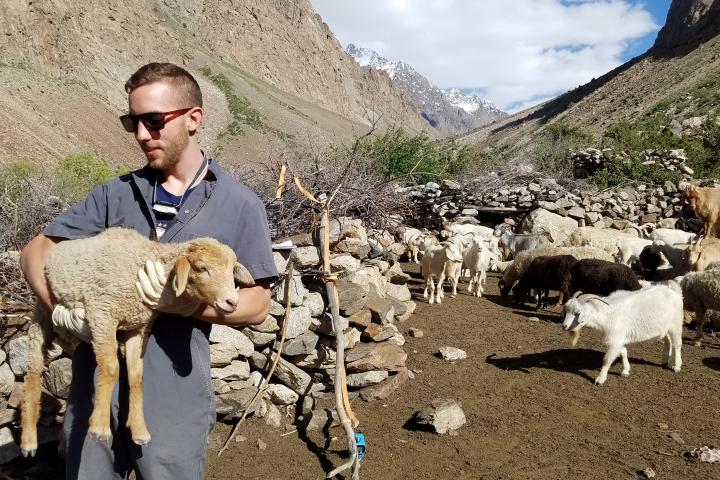 Daniel Foley with sheep in the Pamirs by Helen Lee.