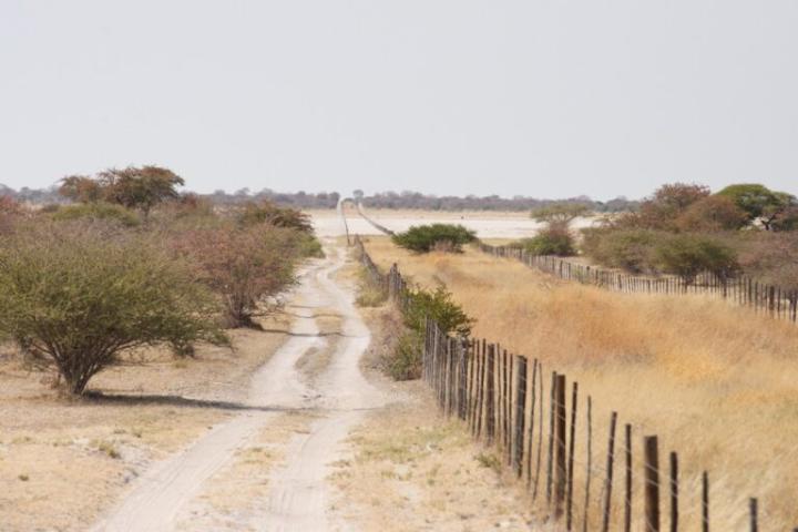 A typical double veterinary cordon fence in southern Africa