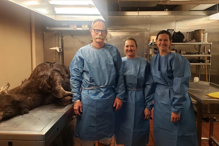 Drs. Schuler and Bloodgood visiting Kevin Hynes, DEC Wildlife Health Program leader, in Delmar for moose necropsies.
