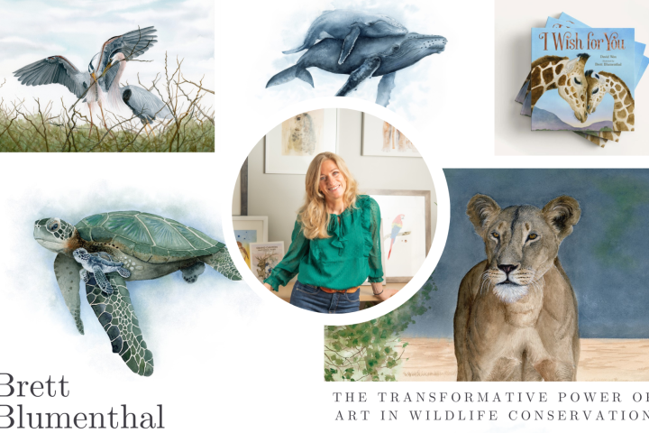 Brett Blumenthal BArch '96, MBA '04 artwork with photo of Brett in the middle.