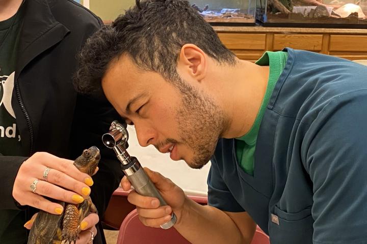 Julian Rivera examining a turtle at the Staten Island Zoo