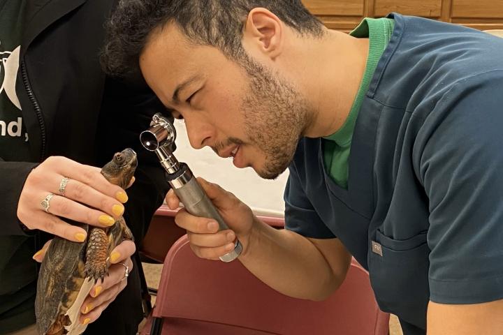 Julian Rivera examines turtle
