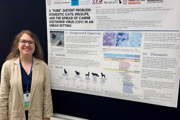 Shayna is standing next to a research poster titled "A "Purr"-sistent problem: Domestic Cats, Wildlife, and the Spread of Canine Distemper Virus (CDV) in an Urban Setting".