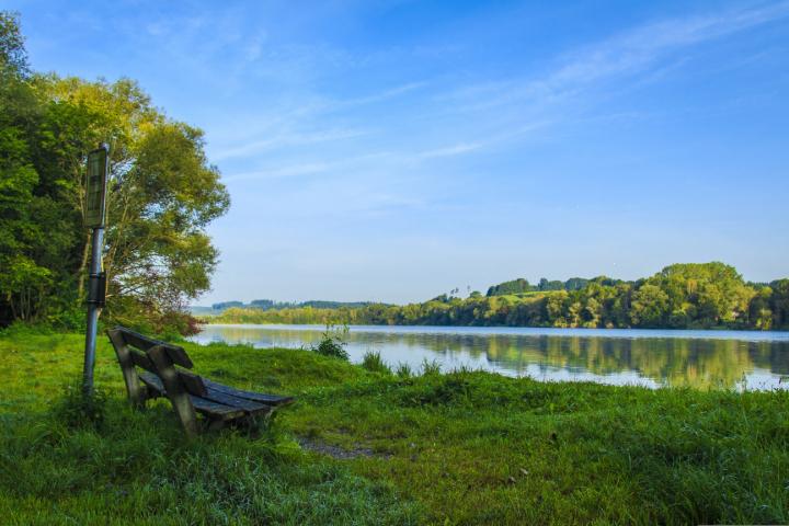 Serene, calm lake surrounded by green trees with a bench on the shore.