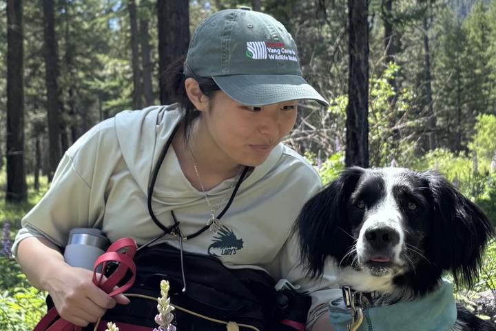 Student in the field with conservation dog