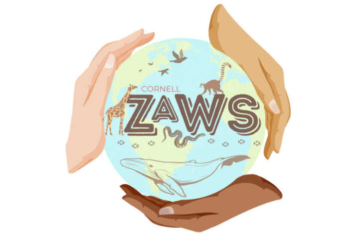 three hands hold the earth with many animals shown