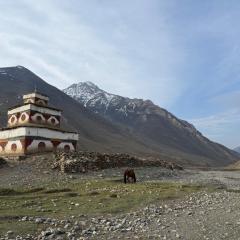 A horse beside a colorful building surrounded by large mountains