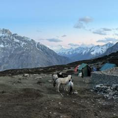 Horses and tents in a rocky area with large mountains in the background