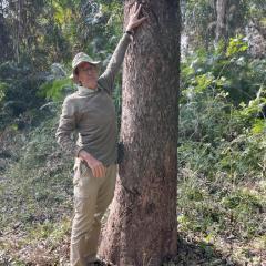 Person stands beside tree with large scratches on the bark.