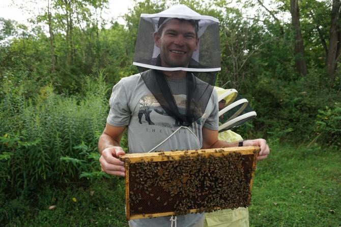 Beekeeper with Bees