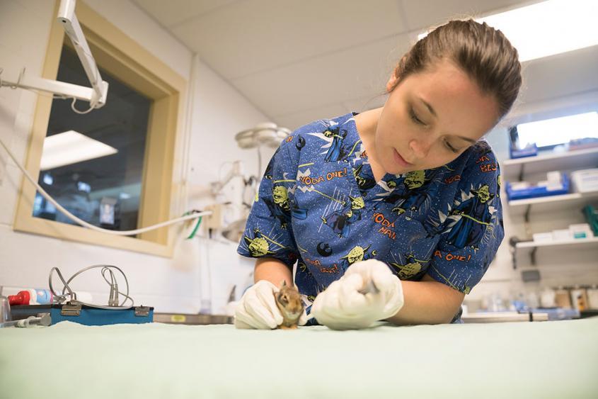 Christina Parsnick in lab