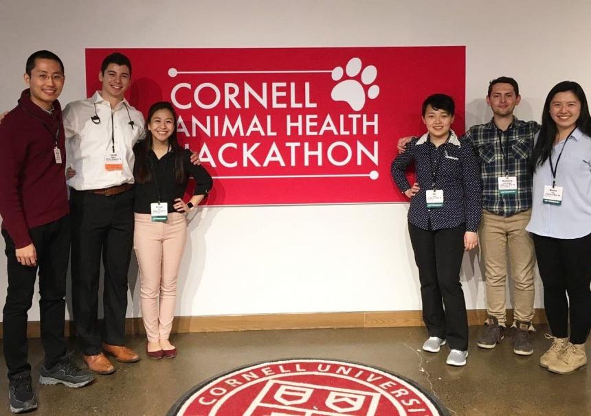 Cornell animal health hackathon team