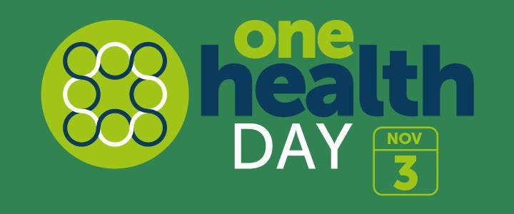 One health day banner