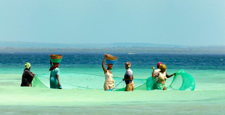 Fisherwomen at work on shore