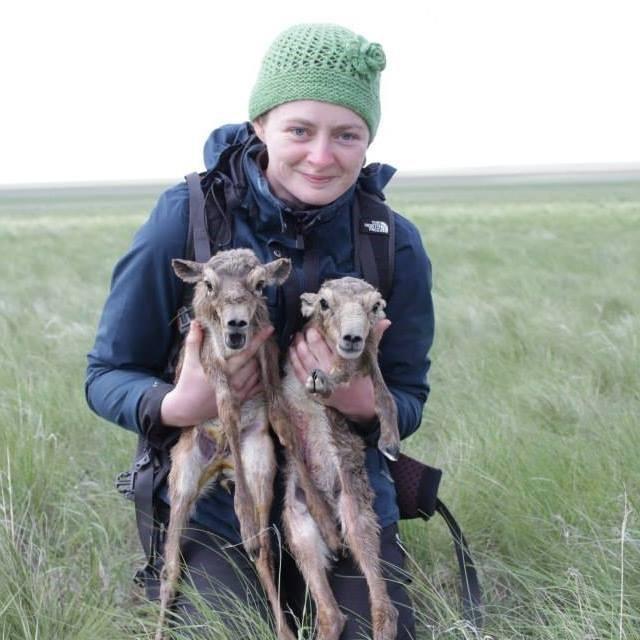 Wendy Beauvais shown holding two endangered saiga antelope fawns