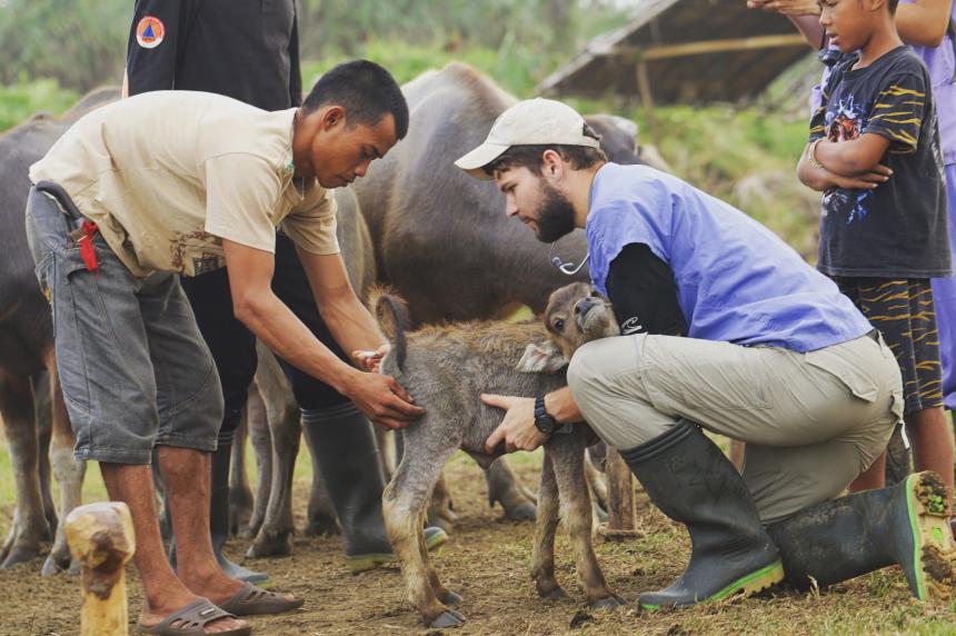 Veterinary student with livestock and local community