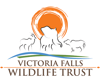 Victoria Falls Wildlife Trust