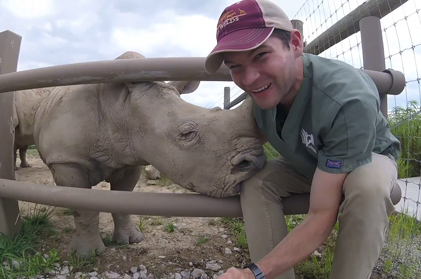 Vet student with rhino