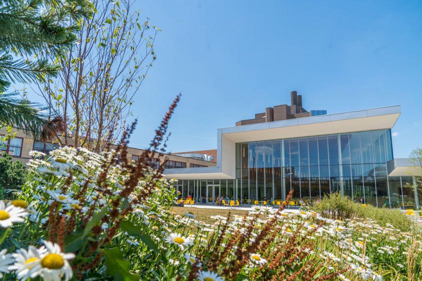 Cornell Vet School courtyard