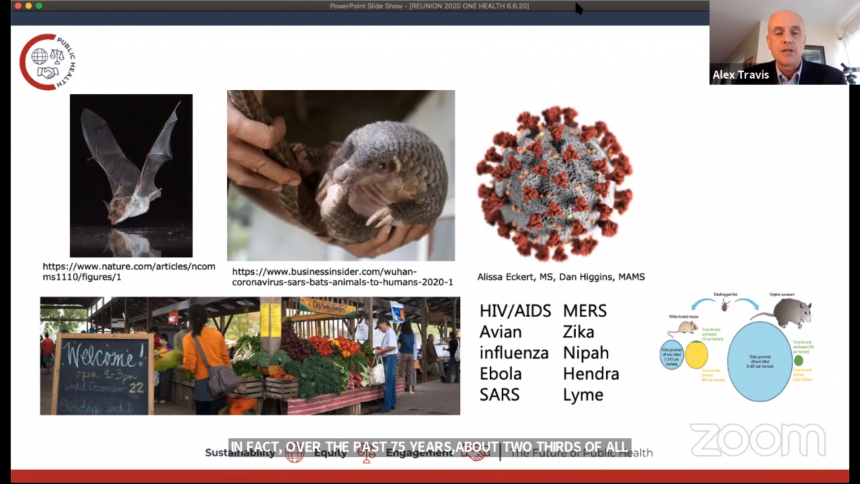 Presentation image of wildlife, wildlife markets, and coronavirus