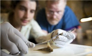 Rodman Getchell and researcher examining a fish