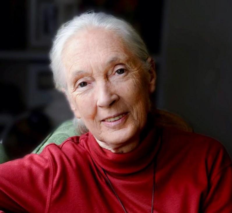 Jane Goodall