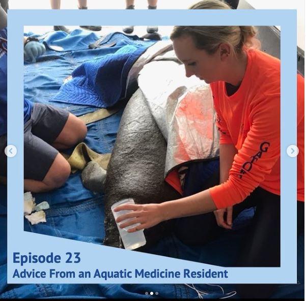 Aquatics resident treating animal