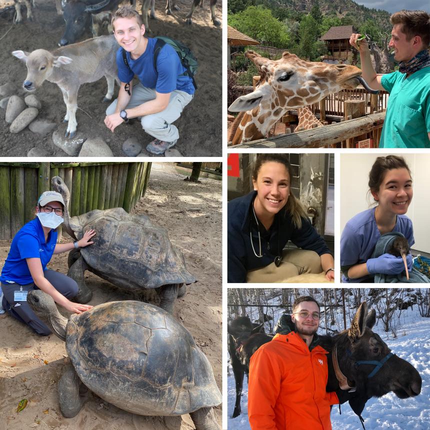 A collage of recent alumni with various animals