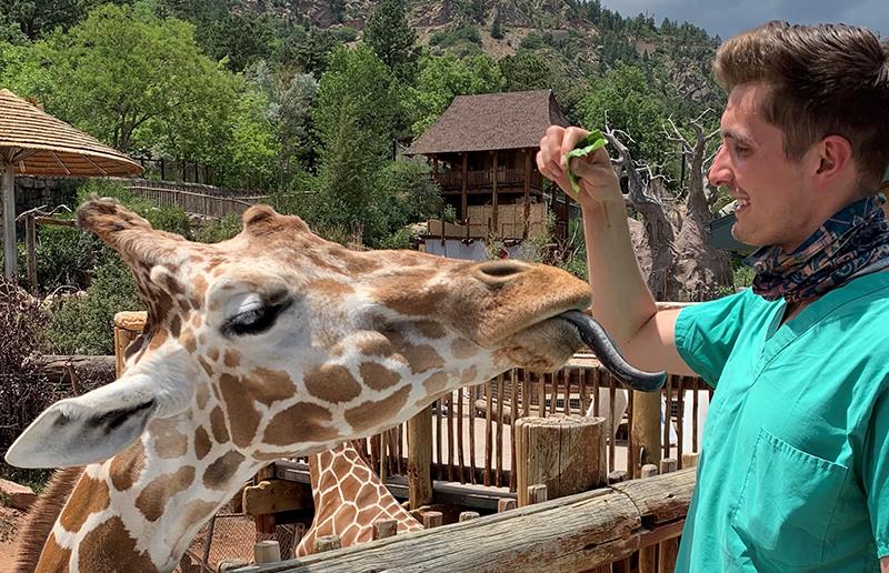 Cornell vet student with giraffe