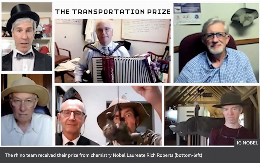 Ig Nobel prize for rhino tranportation video screenshot