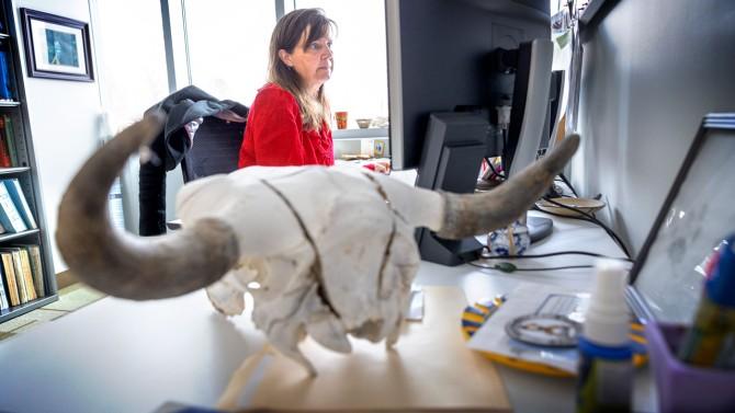 Elizabeth Bunting at her desk by Ryan Young-Cornell University