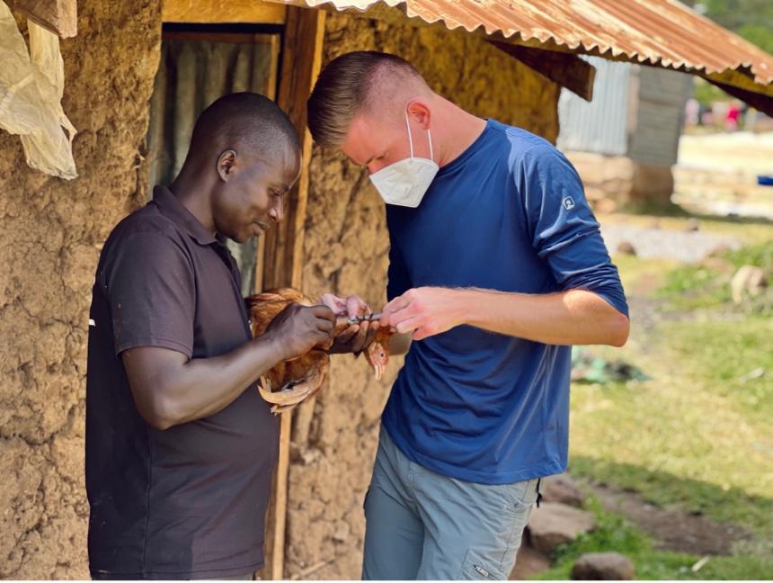 Alexander Levitskiy taking blood sample during summer research in Kenya.