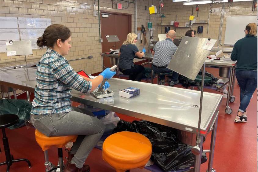 Students at a lab bench during a the fish health workshop at Cornell.