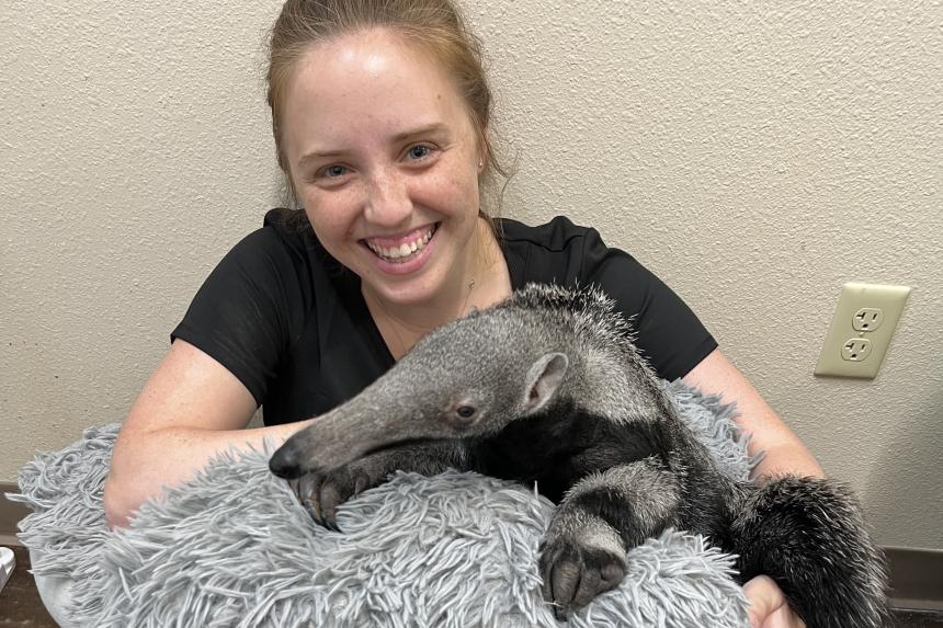 Colleen Sorge with anteater at the Abilene Zoo.