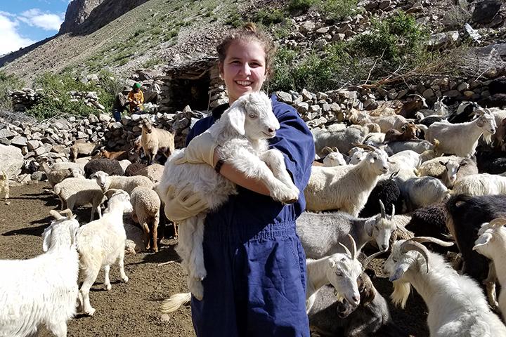 Ana Pantín with sheep in Tajikistan.