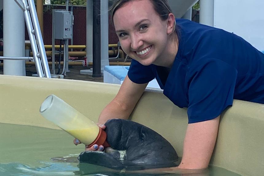 Tatiana Weisbrod feeding milk in a bottle to a baby manatee.