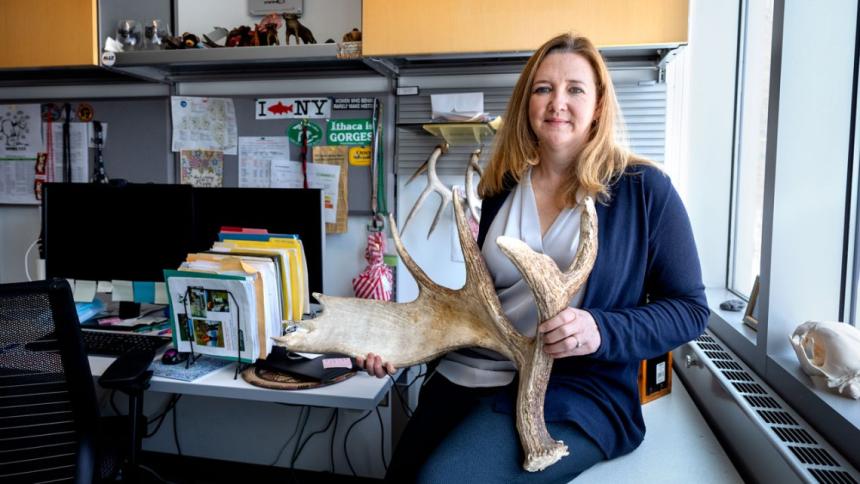 Krysten Schuler shown holding a Moose antler.