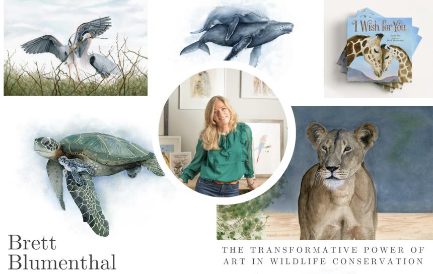 The Transformative Power of Art in Wildlife Conservation with Brett Blumenthal collage.