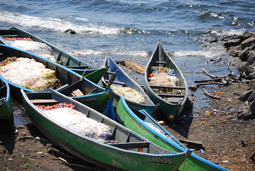 Small canoe-like fishing boats pulled up on a shoreline.