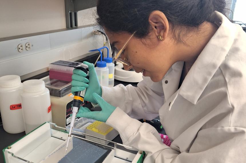 A student at work in the lab.