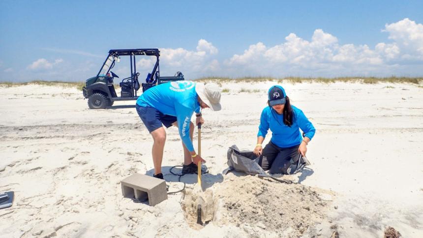 Staff at the Dauphin Island Sea Lab fill a dolphin decoy with sand. Dauphin Island Sea Lab/Provided